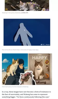 s123cAqbZ.webp