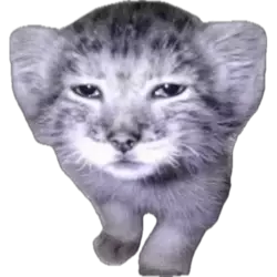 1753920924833.webp