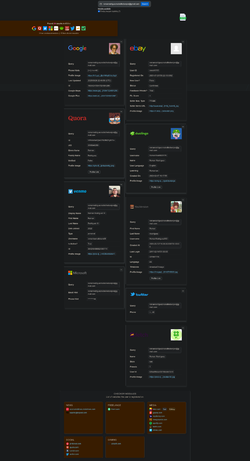 Screenshot 2025-08-22 at 23-19-46 OSINT Reverse Email Lookup.webp
