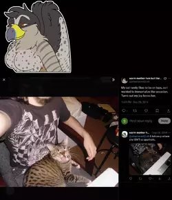 e7.webp