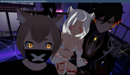 sc3.webp