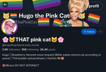 thatpinkcat.webp