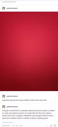 bfc6.webp