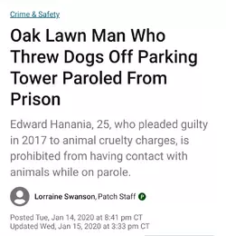 media_F4Wmwk9WIAEiFq5.webp