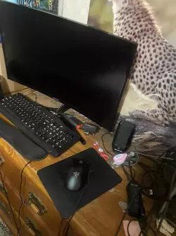 1759116215159.webp