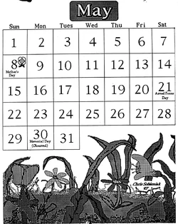 218459_221156277914118_5620134_o.jpg