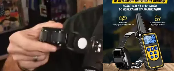 collar.png