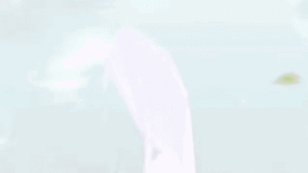 Reisa_Idol_L2D_BA_B3.gif