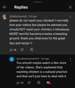 Screenshot_20251019_160634_YouTube.jpg