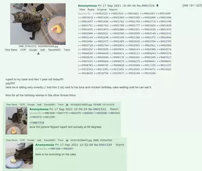 2025-10-24-133243_hyprcap.png
