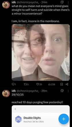 Screenshot_20251028_135105_X.jpg