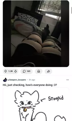1000006784.png