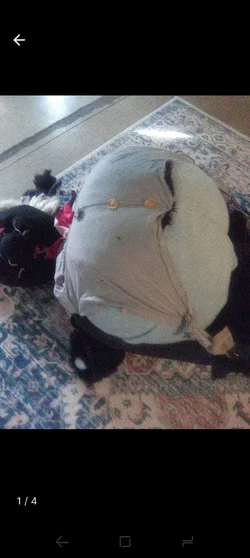 raggedyassfursuit5.jpg