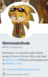 NintrendoDude (@Alex_Hedgefox2) - Twitter - twitter.com.png