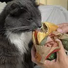 USRXodXjY1lpyJSqPhTMdP5aA9xYQSdQ3a99kUI0Z8s.jpg
