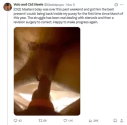Screenshot 2025-11-13 at 12-25-19 Posts with replies by Volo and Cid Steele (@Steelepups) _ X.png