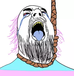 1691097448617899.png