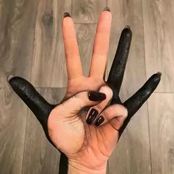 6545342567.jpg