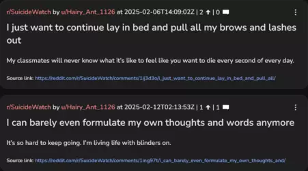 1765694532834.png