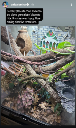 terrariumexpert.jpg