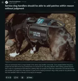 MunchieTIF_patches.png