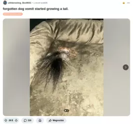 vomit.png