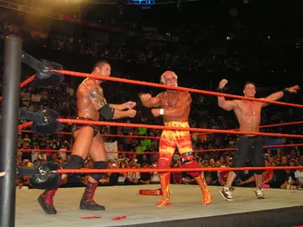Batista,_Hulk_Hogan_and_John_Cena,_April_2004.jpg