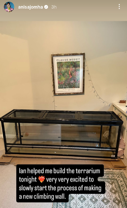 terrarium.jpg