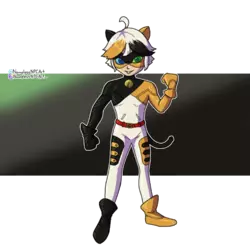 CatTricolor.png