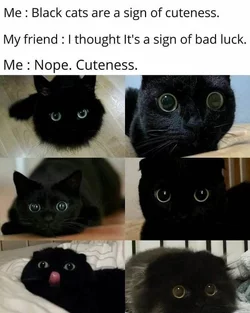 GVf0quYacAAiRzf.jpeg