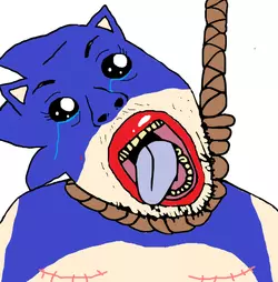 1770204769058.png