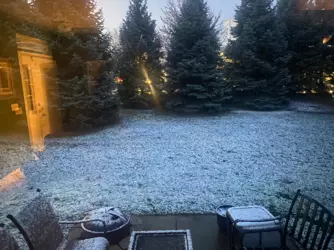 1770219869265.png