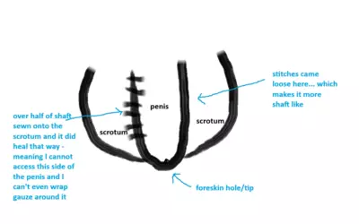1770497156170.png