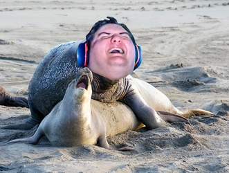 Deorio_Mating_Season.jpg