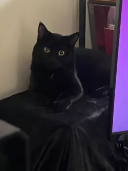 1770918253090.png