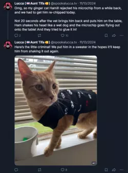 1770920646354.png