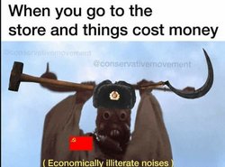 Shreiks in ecomonically illiterate.jpg