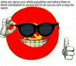 Starvation is okay because of dogs in space.jpg