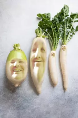 Untitled198_20260216193749.png
