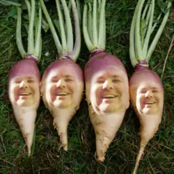 Untitled197_20260216193521.png