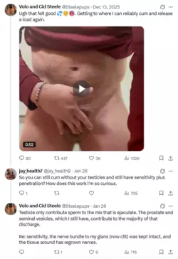 Screenshot 2026-02-16 at 13-50-45 (5) Posts with replies by Volo and Cid Steele (@Steelepups) ...png