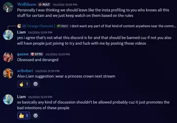 Liam Commentary purge 2.png