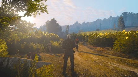 The Witcher 3_ Wild Hunt_20170531143232.jpg