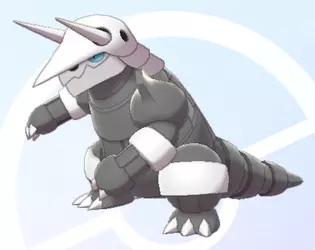 check summary.png