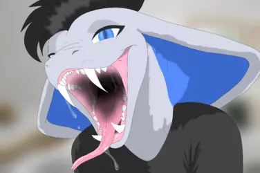 1772639510423.png