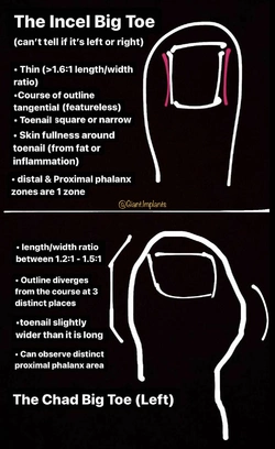 Chart 3.jpeg