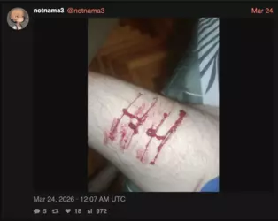 hofehiuefhuiefwijohfewhjiofew.png