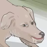 1774936159515.png