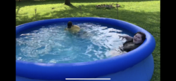 138F1D05-E40D-4966-897C-F286CF2E51B3.png