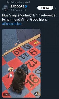 ad_board_end (6).gif